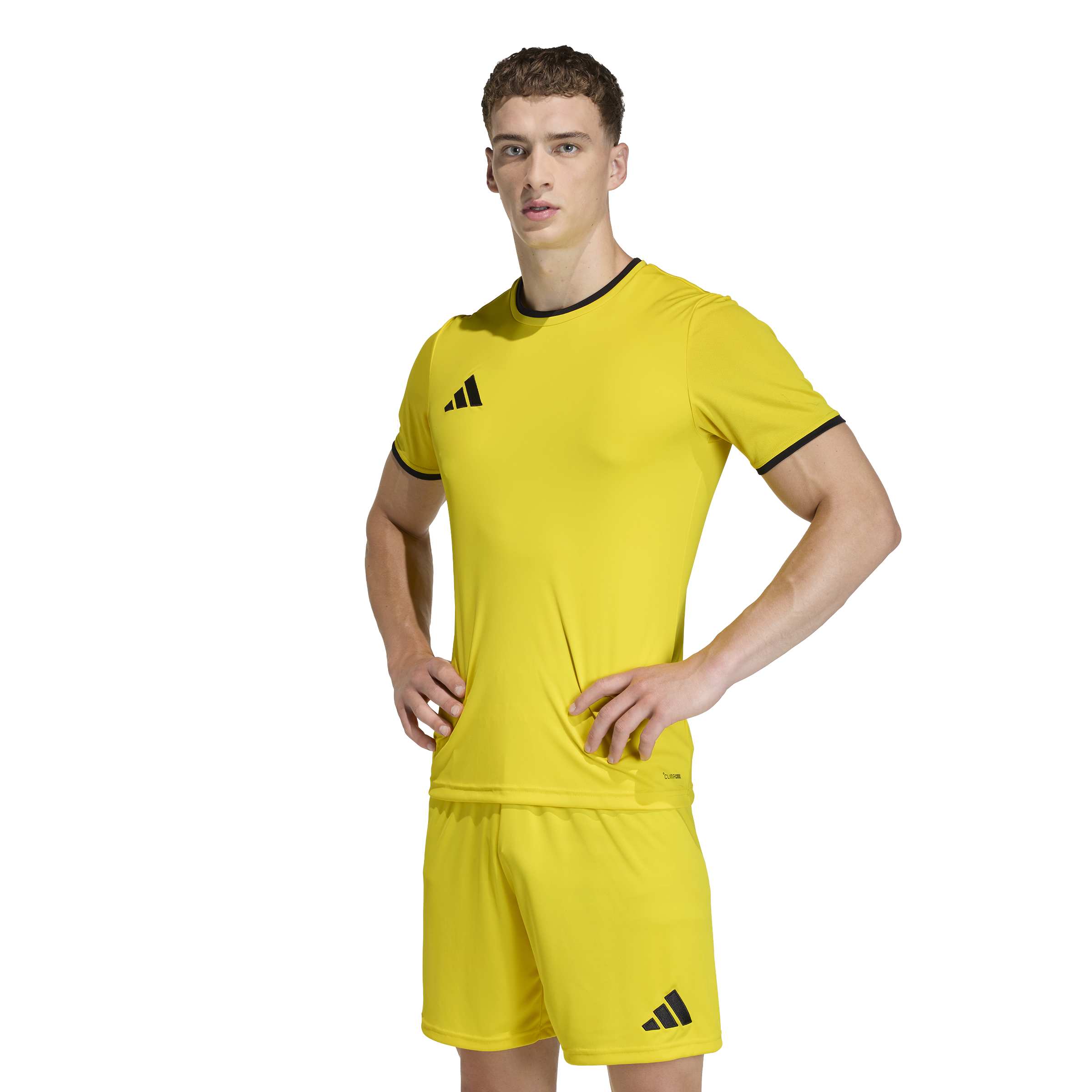 Adidas Entrada 26 Voetbalshirt Geel Zwart