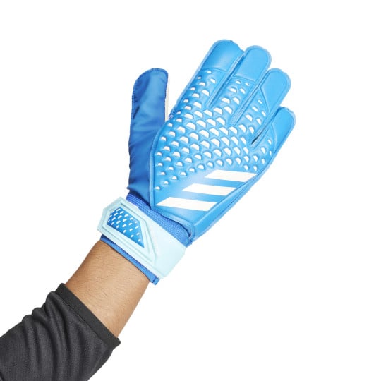 adidas Predator Training Keepershandschoenen Blauw Lichtblauw Wit