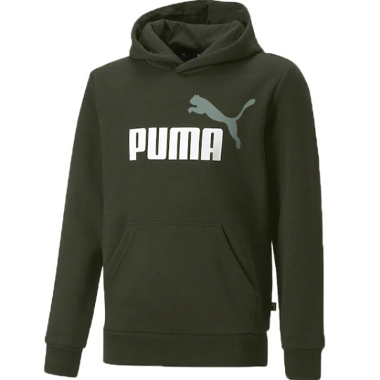 PUMA Essentials+ 2 Big Logo Hoodie Kids Donkergroen Wit Lichtblauw