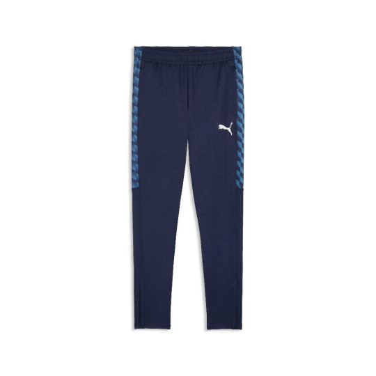 PUMA TeamLiga26 Training pants Dark Blue