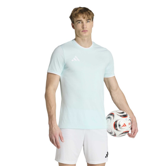 adidas Entrada 26 Voetbalshirt Mintgroen Wit