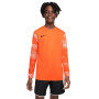 Nike DRY PARK IV Maillot de Gardien de But Manches Longues Enfants Orange