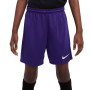 Nike Dry Park III Short Football Enfants Mauve Blanc