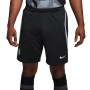 Nike Chelsea Strike Short d'Entraînement 2023-2024 Noir Vert Menthe Gris