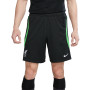 Nike Liverpool Strike Short d'Entraînement 2023-2024 Noir Vert Blanc