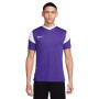 Maillot de football Nike Dri-Fit Park Derby III violet/blanc