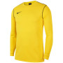 Nike Park 20 Crew Sweater Geel Zwart