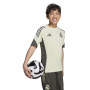 adidas Real Madrid Training Shirt 2025-2026 Kids Light Green Grey