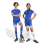 adidas Squadra 25 Voetbaltenue Kids Blauw Wit