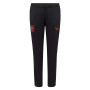 Pantalon d'entraînement Castore FC Twente 2025-2026 noir