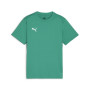 PUMA teamGOALVoetbalshirt Kids Groen