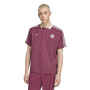 adidas Ajax Terrace Icons T-Shirt Burgundy Beige Blue