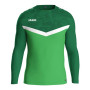 Haut d'entraînement JAKO Iconic vert