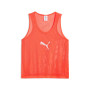 PUMA TeamAdditions TeamAdditions Training bibs Red
