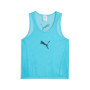 PUMA TeamAdditions Training bibs Blue