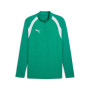 PUMA teamFINAL26 Trainingstrui 1/4-Zip Groen