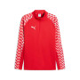PUMA teamLIGA26 Trainingstrui 1/4-Zip Rood