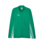 PUMA teamLIGA26 Trainingsjack Groen