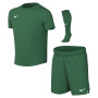 Nike Dri-FIT Park VIII Children's Kit Dark Green White