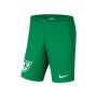 VV 't Goy Keepersshort Junior Groen