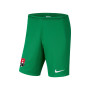 Alexandria 66 Keepersshort Junior Groen