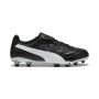 PUMA King Liga Gras / Kunstgras Voetbalschoenen (MG) Zwart Zilver Wit