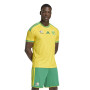 adidas Zuid-Afrika Thuisshirt 2026-2028