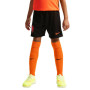 Nike Nederland Thuisbroekje 2026-2028 Kids