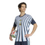 adidas Argentinië Pre-Match Trainingsshirt 2026-2028 Wit Donkerblauw Lichtblauw