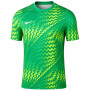 Nike Dri-FIT Gardien VI Keepersshirt Lichtgroen Wit