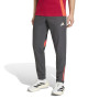 adidas Liverpool Presentatie Trainingsbroek 2025-2026 Grijs Rood Zilver