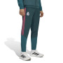 adidas Real Madrid Presentatie Trainingsbroek 2026-2027 Donkergroen Roze Wit