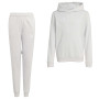 adidas Entrada 26 Hoodie Joggingpak Kids Grijs Wit