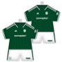 PEC Zwolle Minidress Uitshirt 2026-2027
