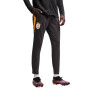 PUMA Galatasaray SK Trainingsbroek 2026-2027 Donkergrijs Oranje