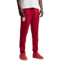 PUMA Galatasaray SK Evostripe Trainingsbroek 2026-2027 Rood Oranje