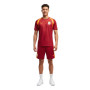 Kit d'entraînement PUMA Galatasaray SK 2026-2027 rouge orange