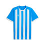 PUMA teamLIGA26 Striped Voetbalshirt Blauw Wit
