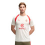 PUMA AC Milan Training Shirt 2026-2027 Light Grey Red