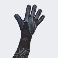 adidas X Pro Keepershandschoenen Zwart