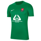 VV Alexandria '66 Keepersshirt Junior Korte Mouwen Groen