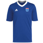 adidas PEC Zwolle Academie Trainingsshirt