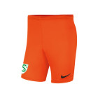 SPV '81 Senior Goalkeeper Short