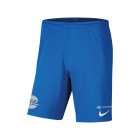 ZVV Zwaag Junior Blue Home Shorts