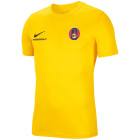 HV Hoorn Uitshirt Geel Dames