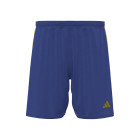 SC Cambuur Academie Trainingsshort Senior