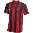 VV De Rijnstreek Thuisshirt Senior