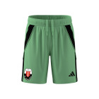 Jodan Boys Keepersshort Luxe Junior Groen
