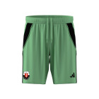 Jodan Boys Keepersshort Luxe Senior Groen
