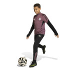 $tmpl_modelinfo[154,152]